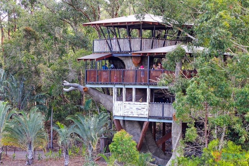 house in the trees