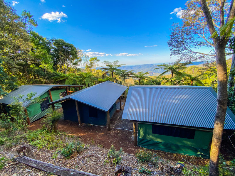 canvas safari tents at binna burra lodge