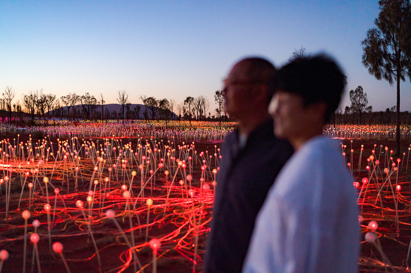 people looking at the field of lights 