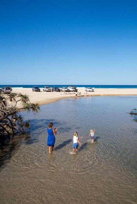 family wading out of Eli Creek near the beach