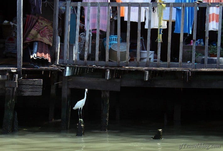 long tail boat Bangkok