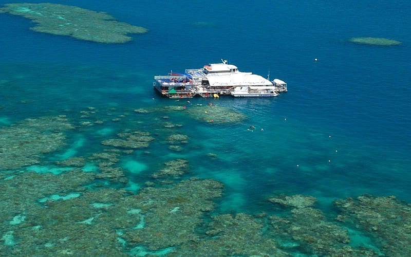 Marine World pontoon in the ocean surrounded by reef. 