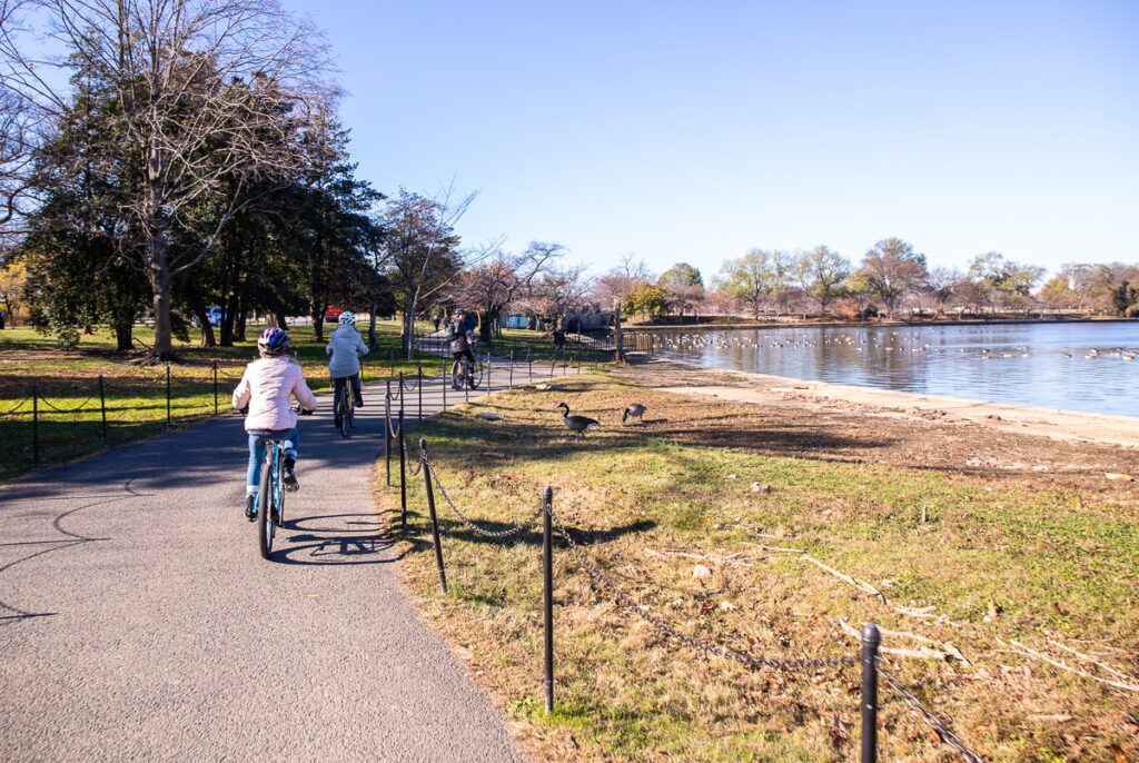 Girl riding a bike near a lake