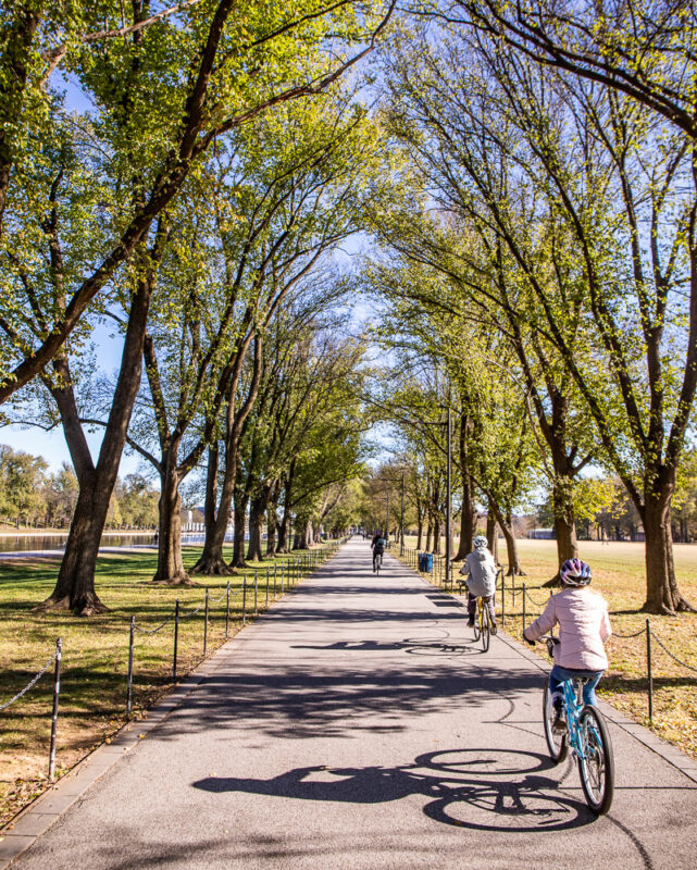 Family riding bikes