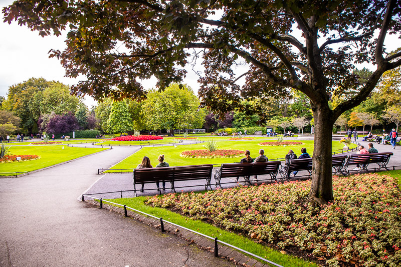 People sitting on park benches under a tree