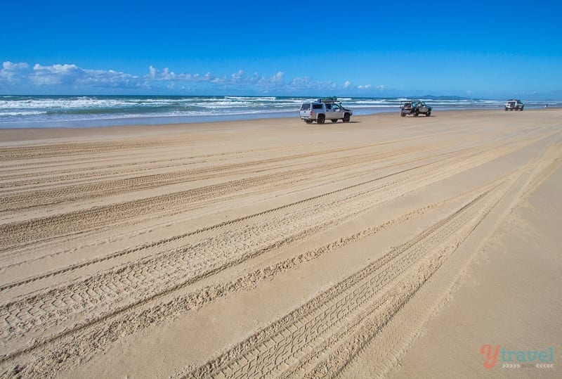 cars driving on the beach