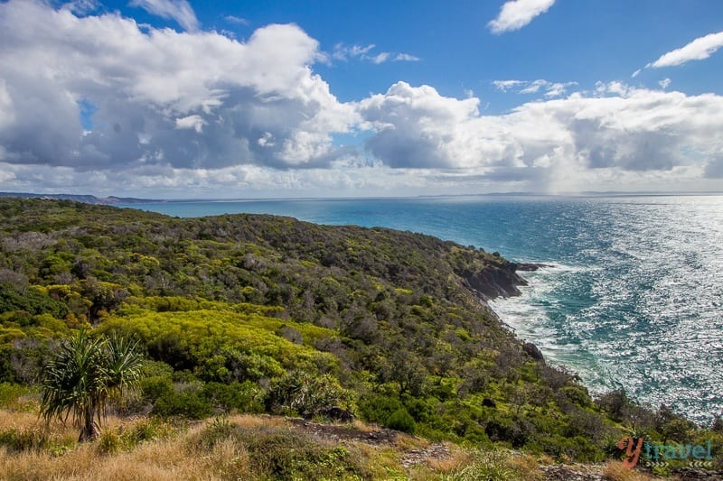 grassy cliffs on the ocean