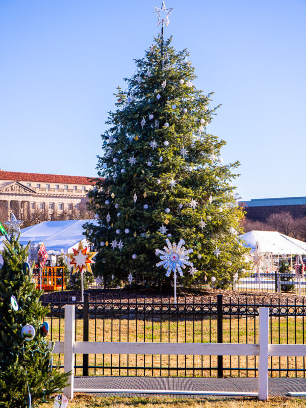 Christmas tree getting decorated at The White House