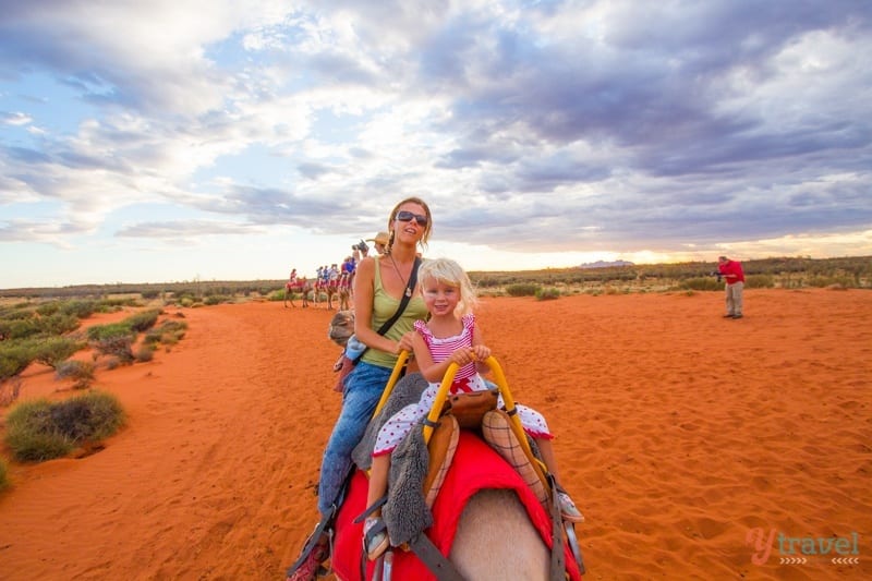 people riding on camels