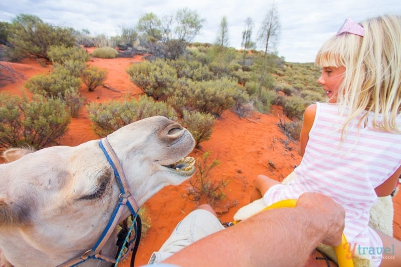 little girl riding on a camel and one behind snapping at her back