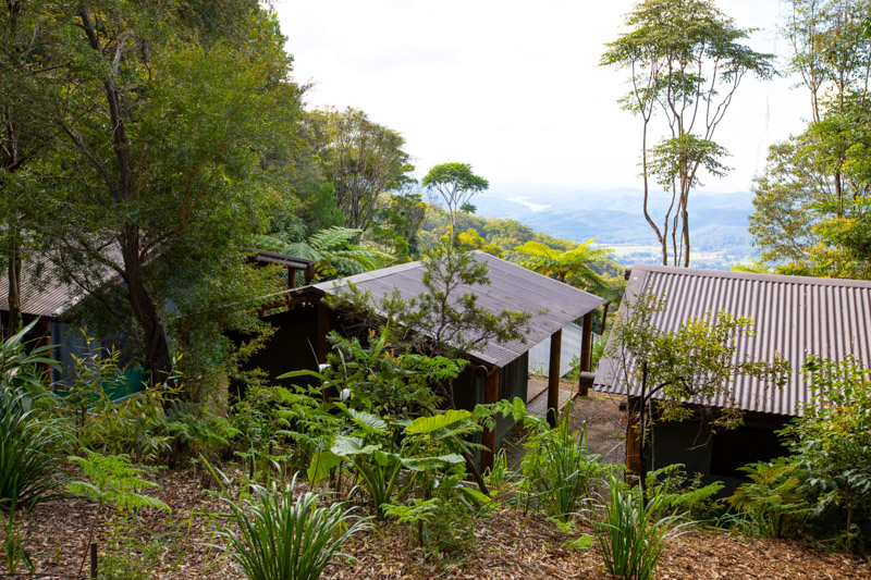 view from binna burra lodge