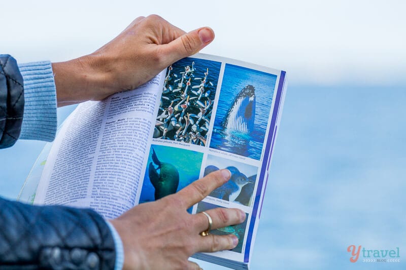 hands holding up a book