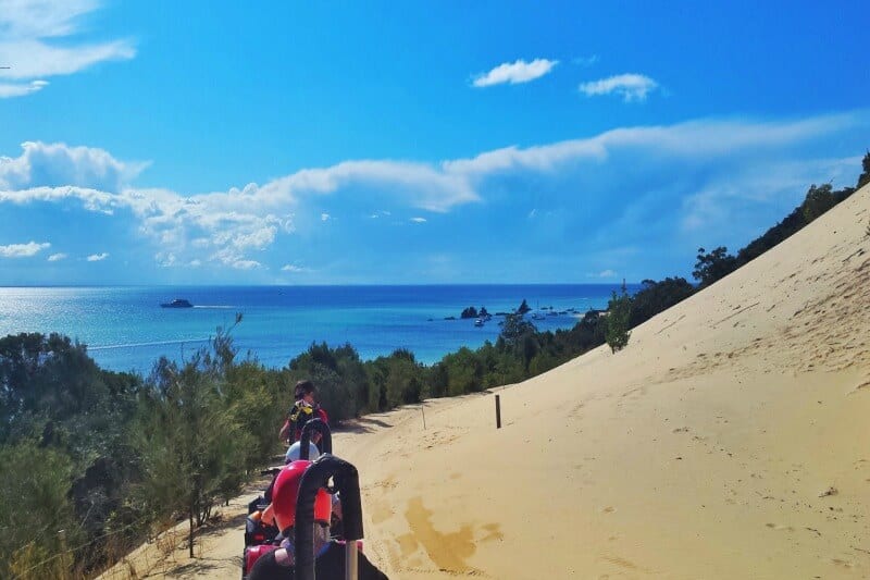 people riding quad bikes on beach