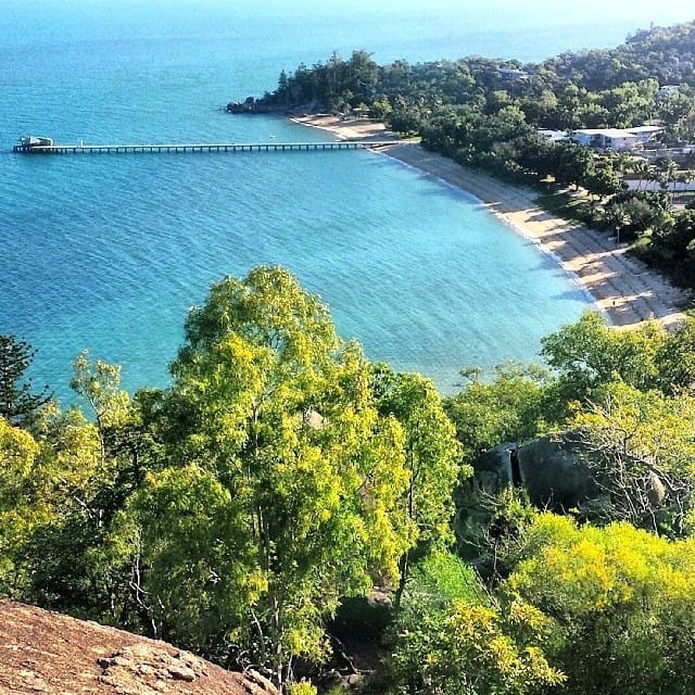 overview of the trees next to the beach