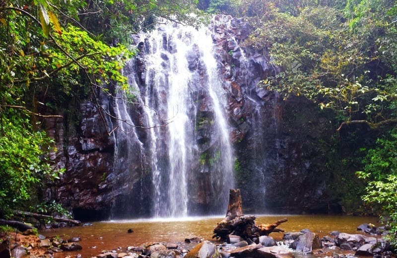 Ellinjaa Falls spilling over rock face into pool