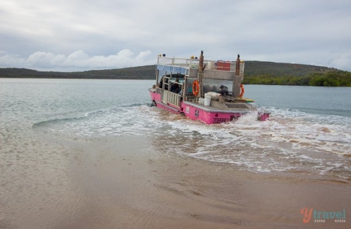 pink boat in the water