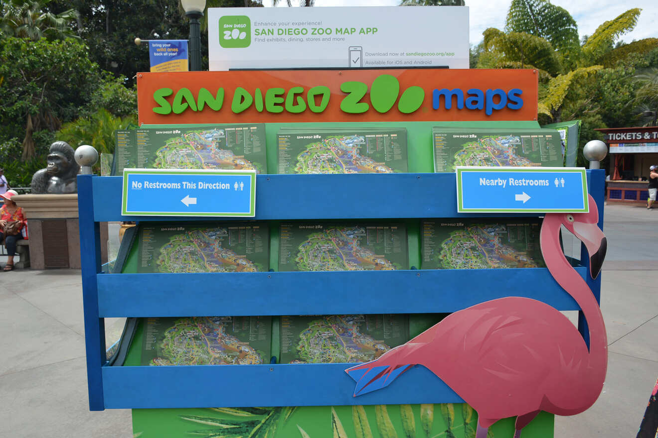 5.8 Things to do at San Diego Zoo 1