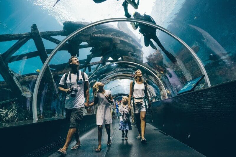 family looking at aquarium from underneath glass tunnel