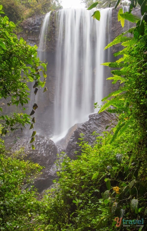 Zillie Falls looking like a curtina of water framed by green foliage