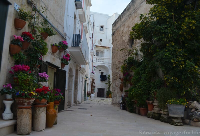 alleyway with flower pots lining 