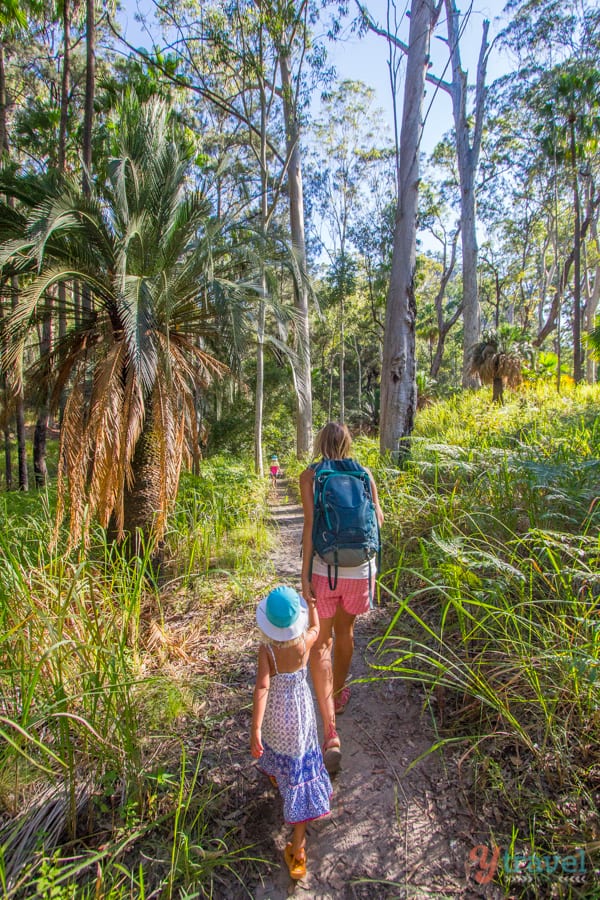 people walking on a forest trail