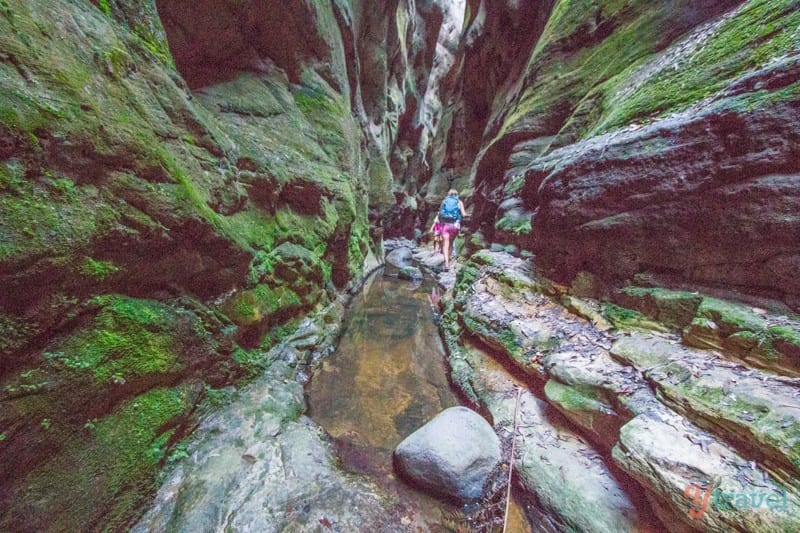 people walking through a canyon