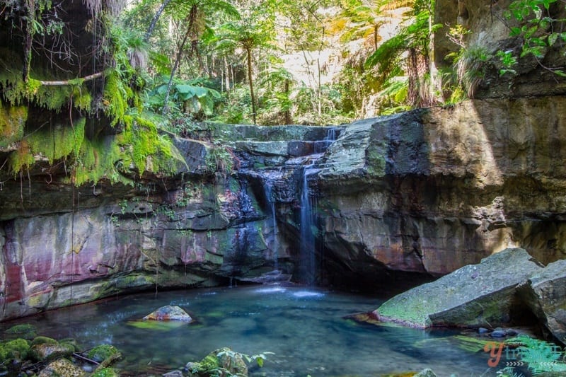 A waterfall surrounded by trees