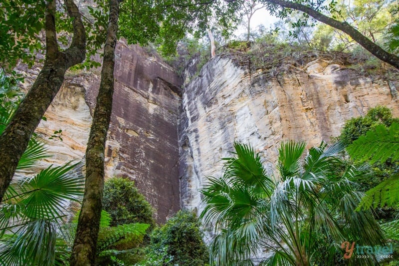 trees next to a rock wall