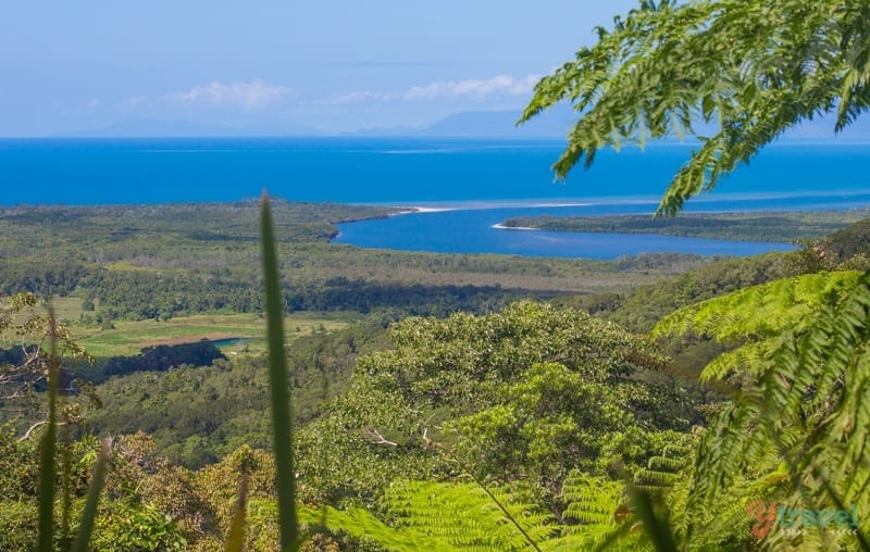 view overlooking rainfoest, river spilling into sea