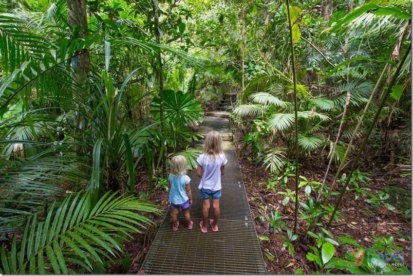 girls on path in the jungle