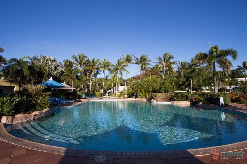 a swimming pool surrounded by palm trees