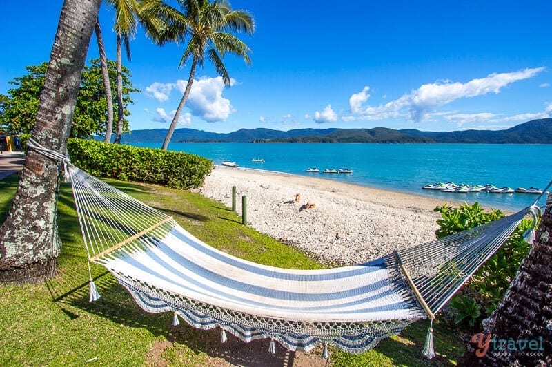 hammock between two palm trees on beach