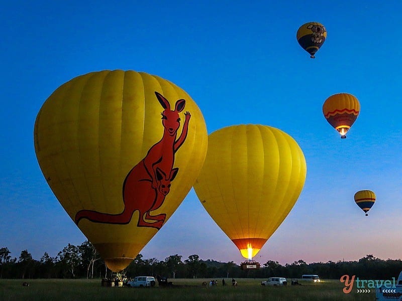 hot air balloons floating into the air 