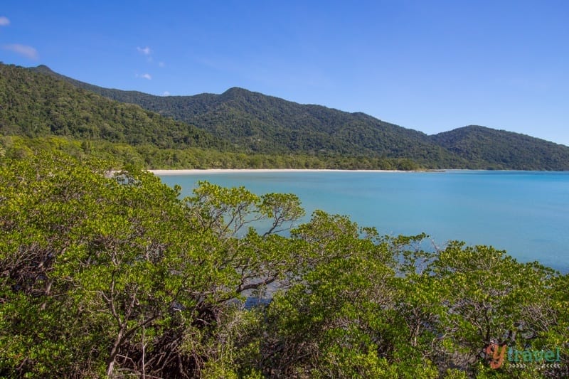  view from Kulki boardwalk of beach and rainforest