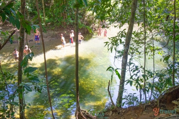 people walking through water surrounded by trees