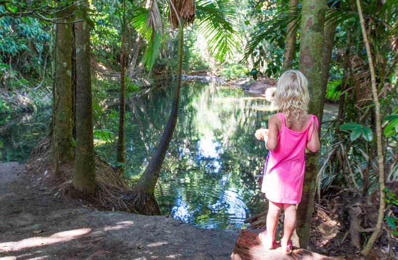 girl looking at Mason's Swimming hole in the Daintree Rainforest