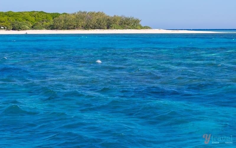 Lady Musgrave Island - Queensland, Australia