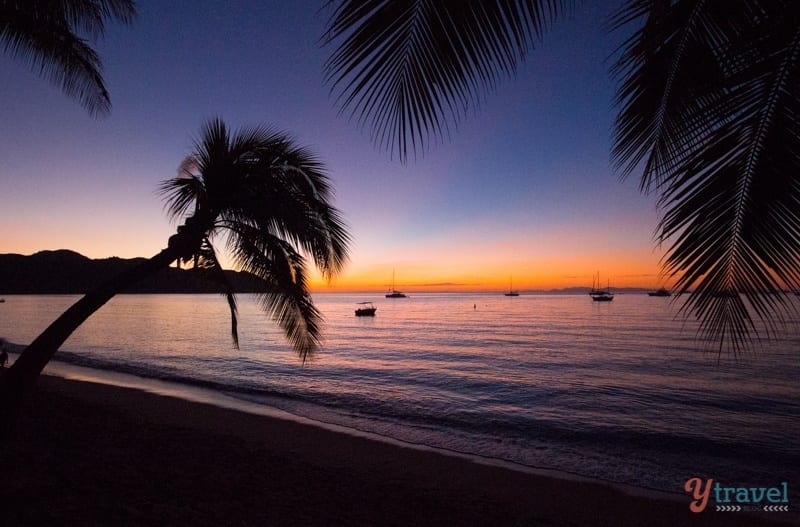 Sunset on Magnetic Island with a silhouette of a palm tree