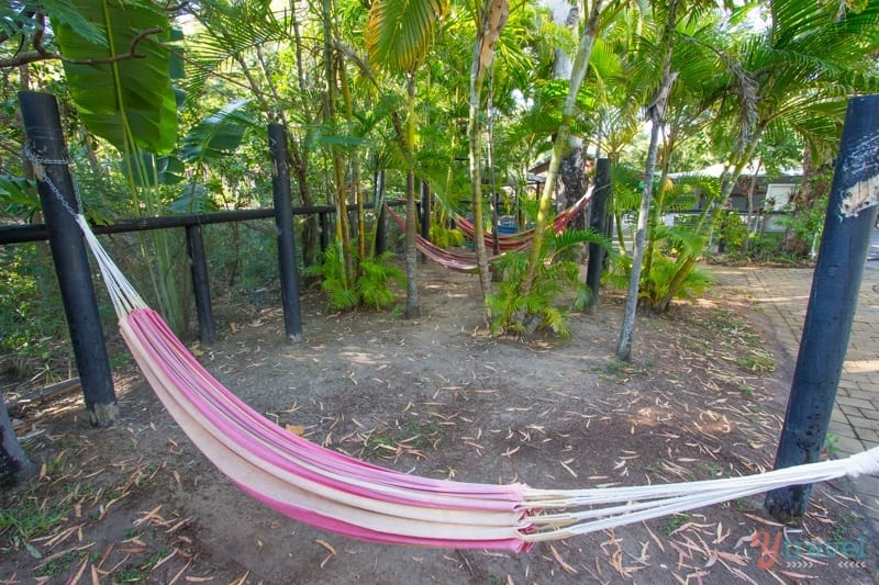 hammocks in trees