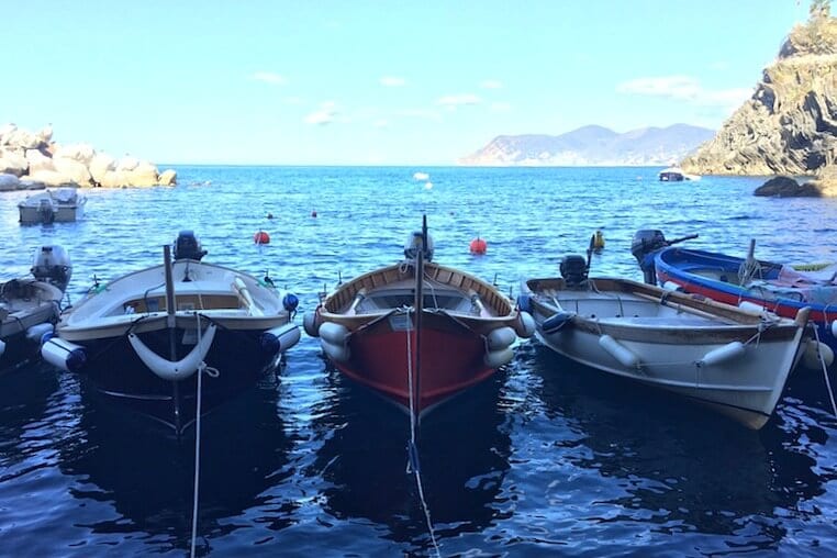 boats moored in a row