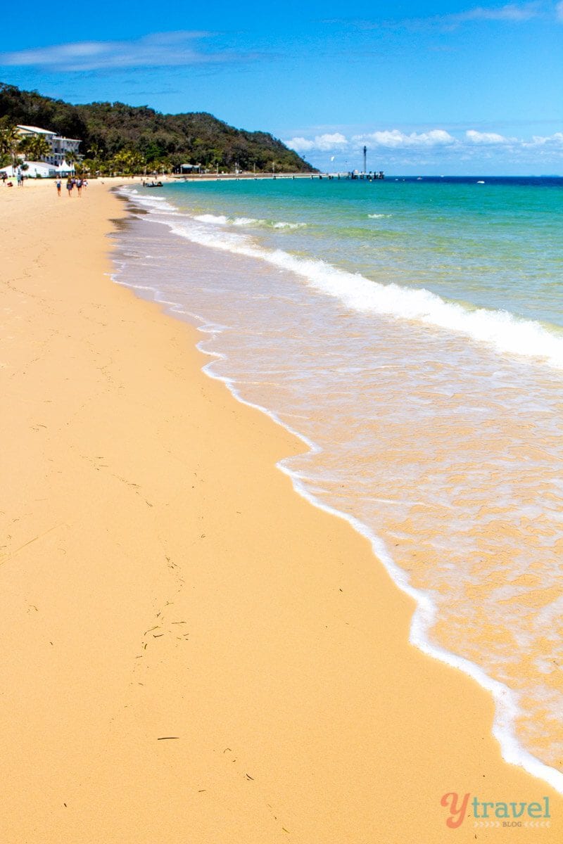 a beach on moreton island