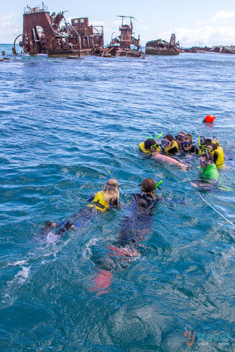 people snorkeling