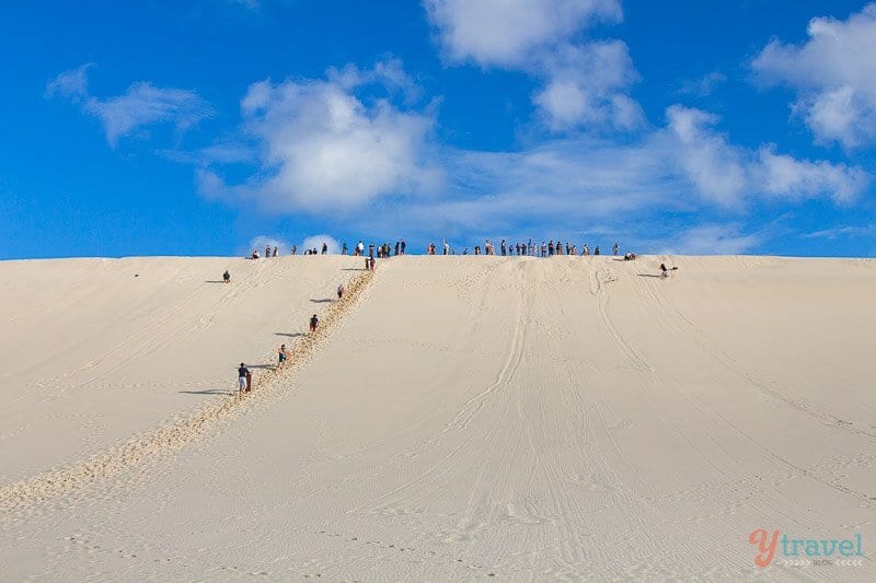 people Sand boarding on Moreton Island, Queensland