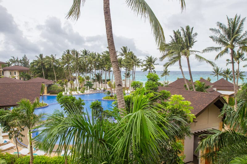 palm trees next to a swimming pool