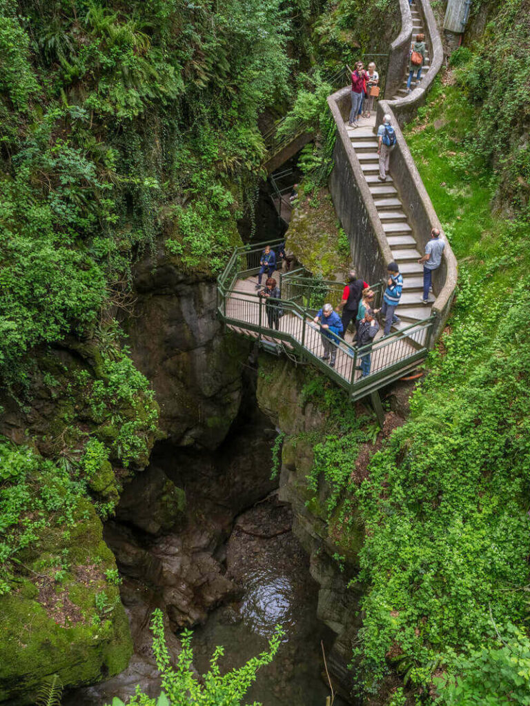 stairs leading up mossy cliffs