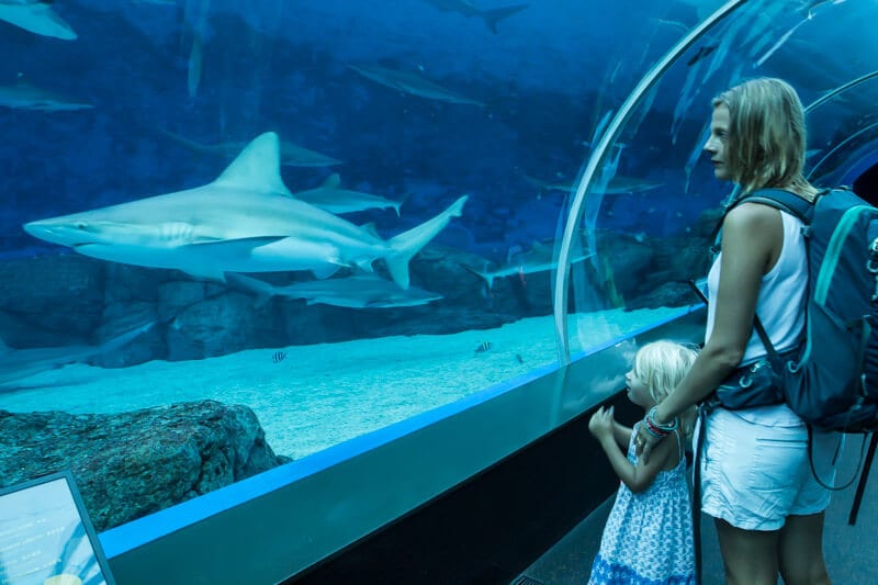 woman and child looking at shark in aquarium