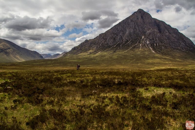 A field with a mountain in the background