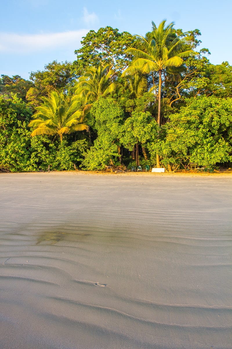 wavy sand at the edge of the daintree rainforest