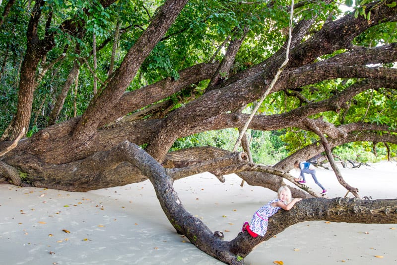 girl lying on tree branch on beach