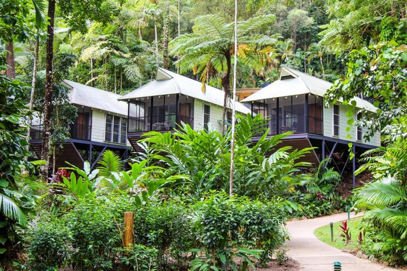 Daintree Eco Lodge & Spa in the Daintree Rainforest of Queensland, Australia